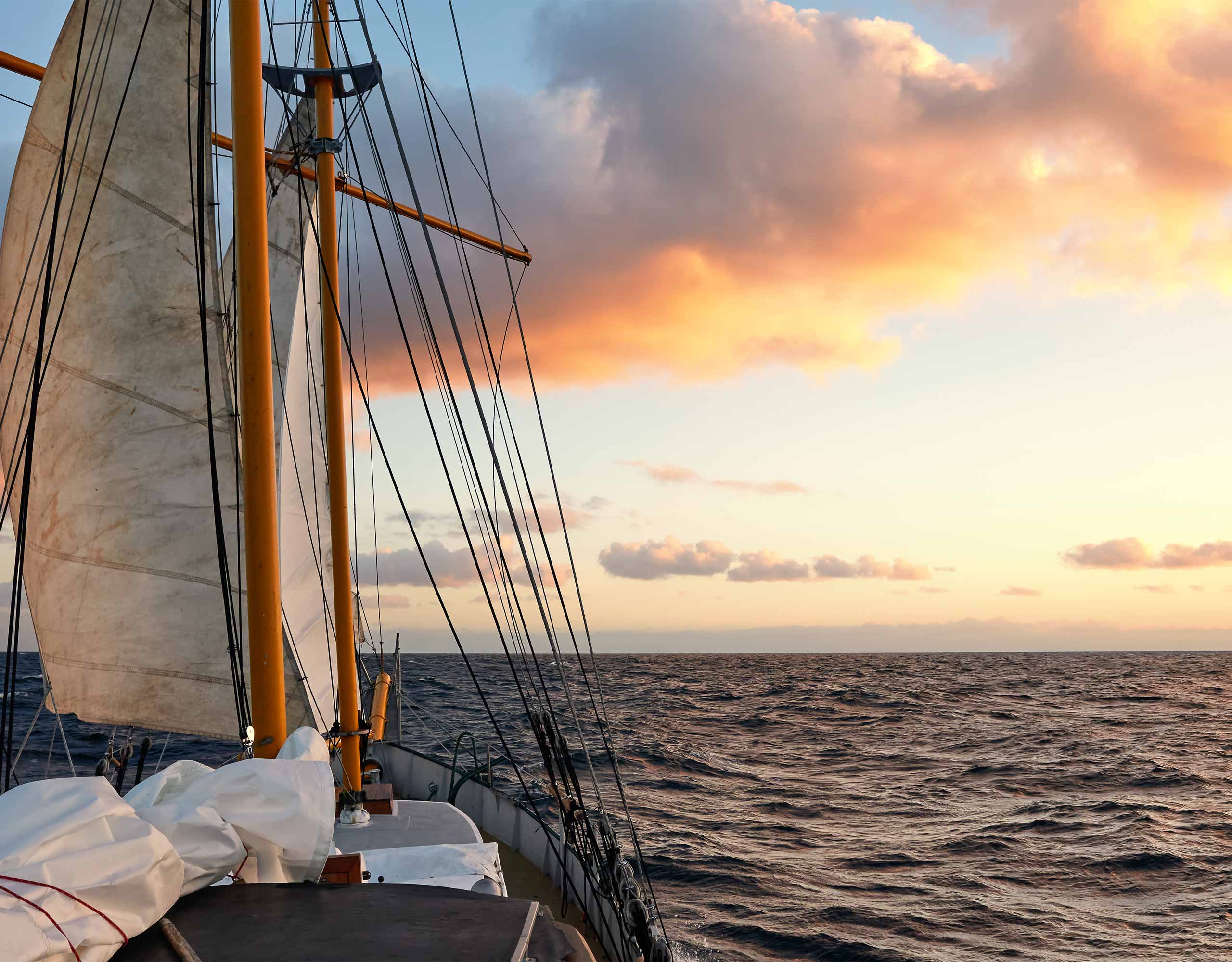 Cosmoenergetics.gr Συμμετοχή του ασθενούς στη Θεραπεία - Involvement of the patient in therapy photo