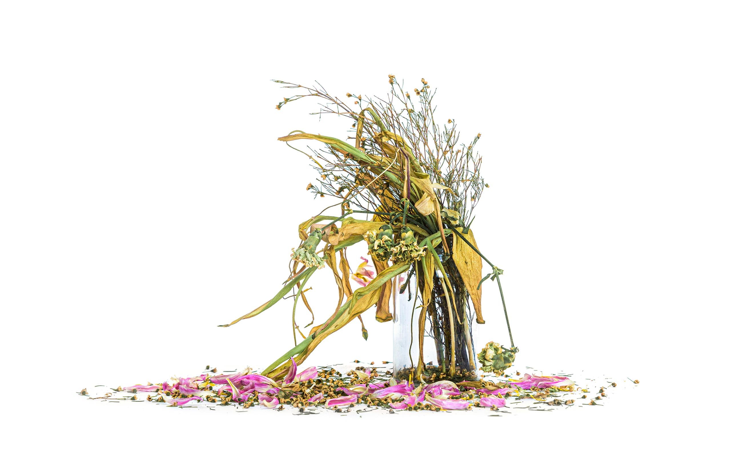 Cosmoenergetics.gr Θεραπευτική Συνεδρία - Therapeutic Session | Τι είναι η Ασθένεια - What is the disease image