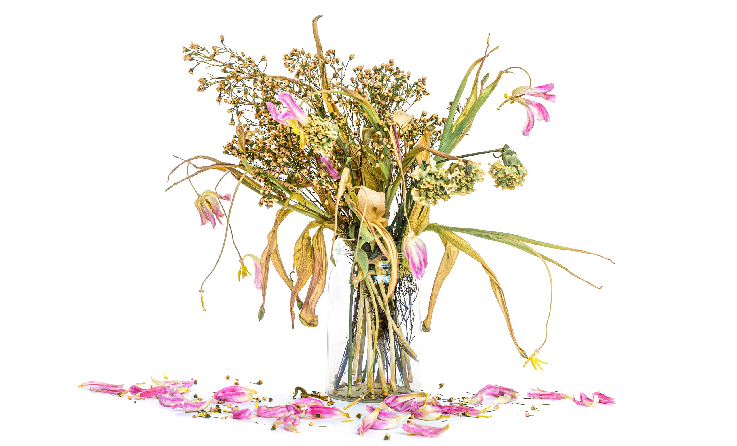 Cosmoenergetics.gr Θεραπευτική Συνεδρία - Therapeutic Session | Τι είναι η Ασθένεια - What is the disease photo